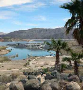 Palm trees and boulders overlook a desert marina on a tranquil bay, with dry hills rising beneath a soft blue sky.