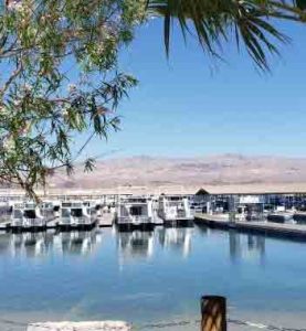 Houseboats are docked in a clear, still desert marina with distant brown mountains and blue skies framed by leafy trees.