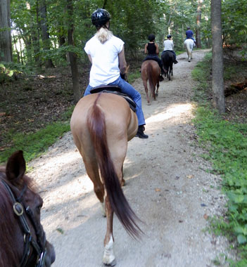 A group of riders enjoying a peaceful horseback ride along a wooded trail.