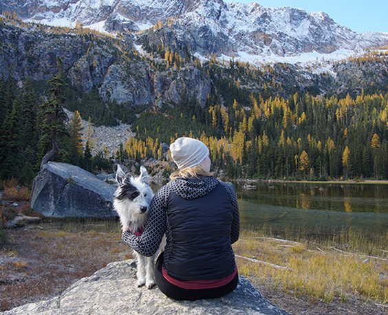 A person and their dog enjoying a serene moment by a mountain lake surrounded by autumnal trees.