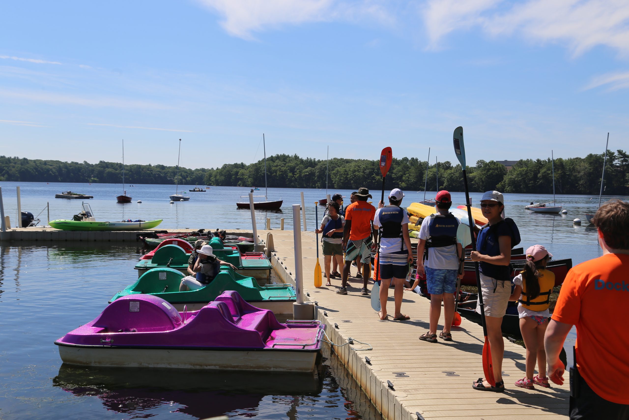 People gather at a sunny Boston dock, preparing for a day of kayaking and paddle boating on the calm waters.