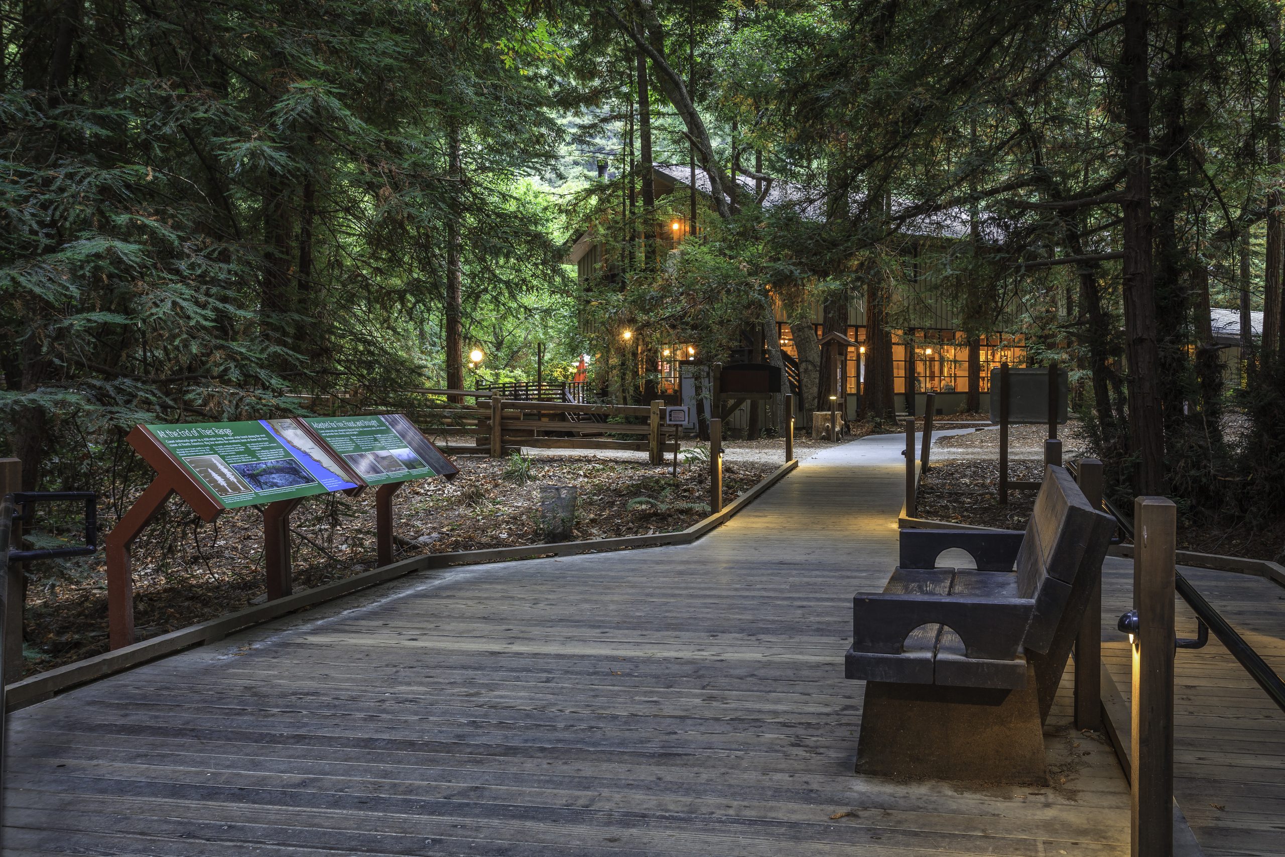 A peaceful forest path with benches, glowing lights, and educational signs leading to a warmly lit visitor center among tall trees.