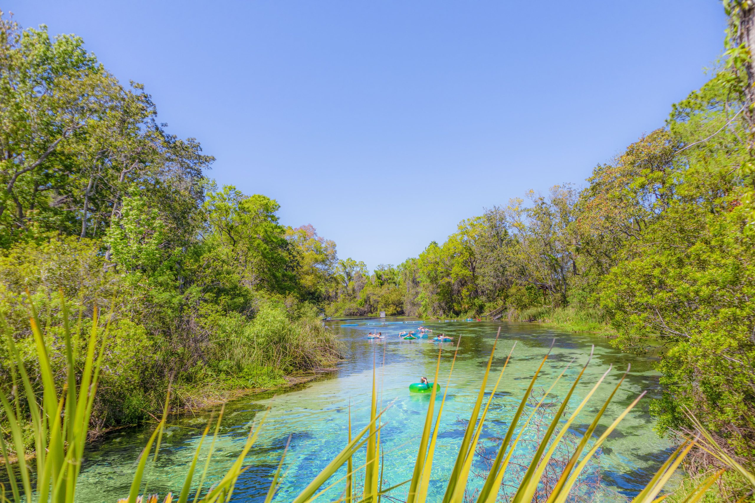 Clear spring river winding through green trees with kayakers and floaters.