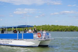 Tourists on a 10,000 Islands Boat Tour aboard 'Stingray II' catamaran cruising past lush mangroves on calm waters.