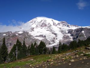 Snow-capped Mt. Rainier under clear skies, seen from a rugged terrain with evergreen trees near Mt. Rainier National Park Inn.