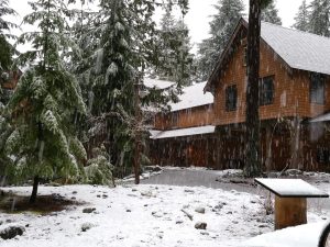 Snow falling at Mt. Rainier National Park Inn, covering evergreen trees and a rustic lodge in a serene winter scene.