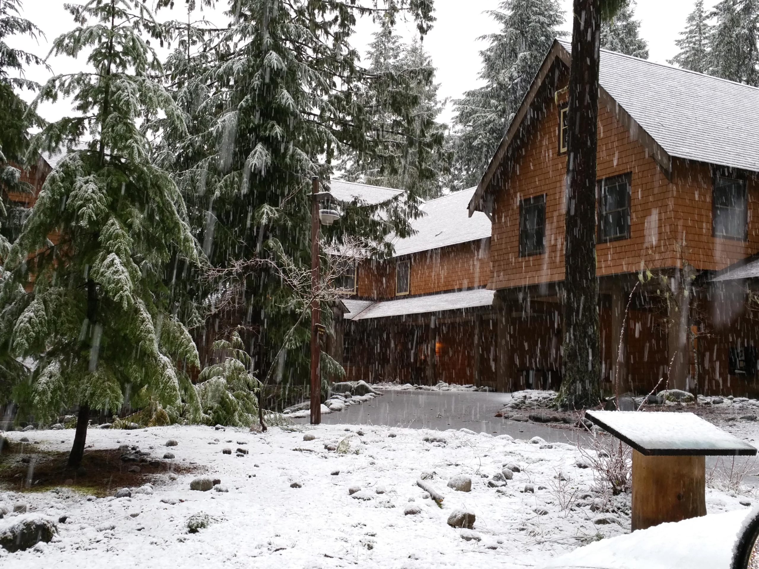Snow falling at Mt. Rainier National Park Inn, covering evergreen trees and a rustic lodge in a serene winter scene.