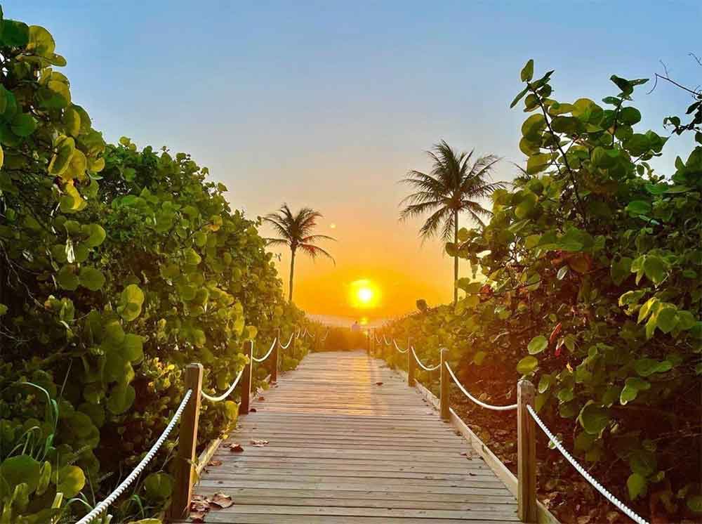 A wooden boardwalk lined with lush greenery leads to a golden sunset over the ocean, framed by palm trees and a clear sky.