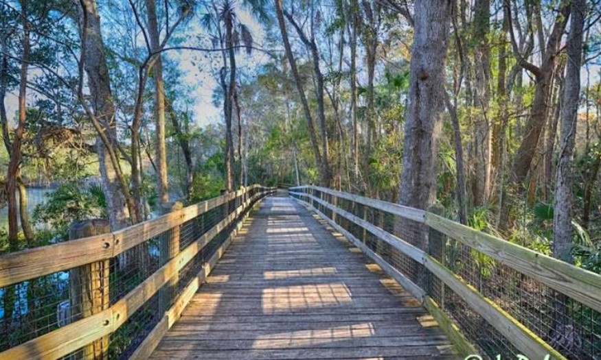 Homosassa Springs Hiking Trail