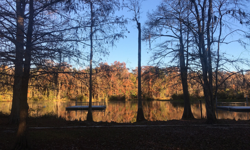 Wakulla Springs Hiking Trail
