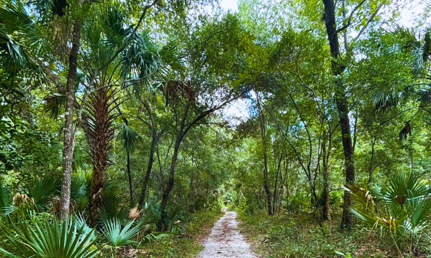 Wekiwa Springs Hiking Trail
